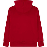 Nike sudadera niño MJ STRETCH HBR PO vista trasera