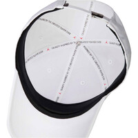 Nike visera lona U J RISE CAP S CB MTL JM 03