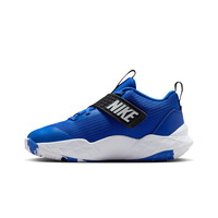 Nike zapatilla baloncesto niños TEAM HUSTLE D AZBL puntera