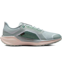Nike zapatilla running hombre AIR ZM PEGASUS 41 GTX puntera