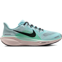 PEGASUS 41