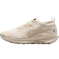 Nike zapatillas trail mujer W PEGASUS TRAIL 5 GTX puntera