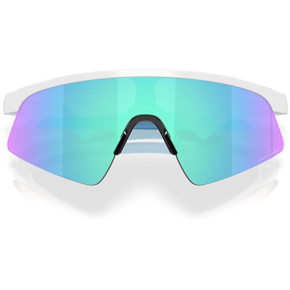 Oakley gafas ciclismo RESISTOR SWEEP 02
