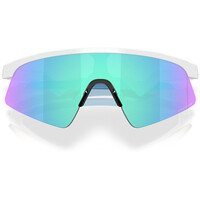 Oakley gafas ciclismo RESISTOR SWEEP 02