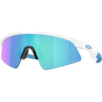 Oakley gafas ciclismo RESISTOR SWEEP vista frontal