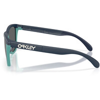 Oakley gafas deportivas FROGSKINS RANGE 03