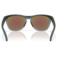 Oakley gafas deportivas FROGSKINS RANGE 04
