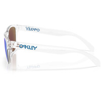 Oakley gafas deportivas FROGSKINS S 03