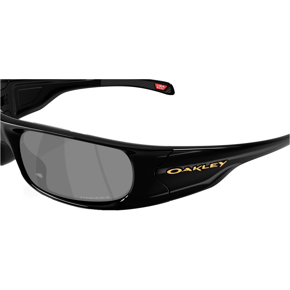 Oakley gafas deportivas HIGHLAND 04