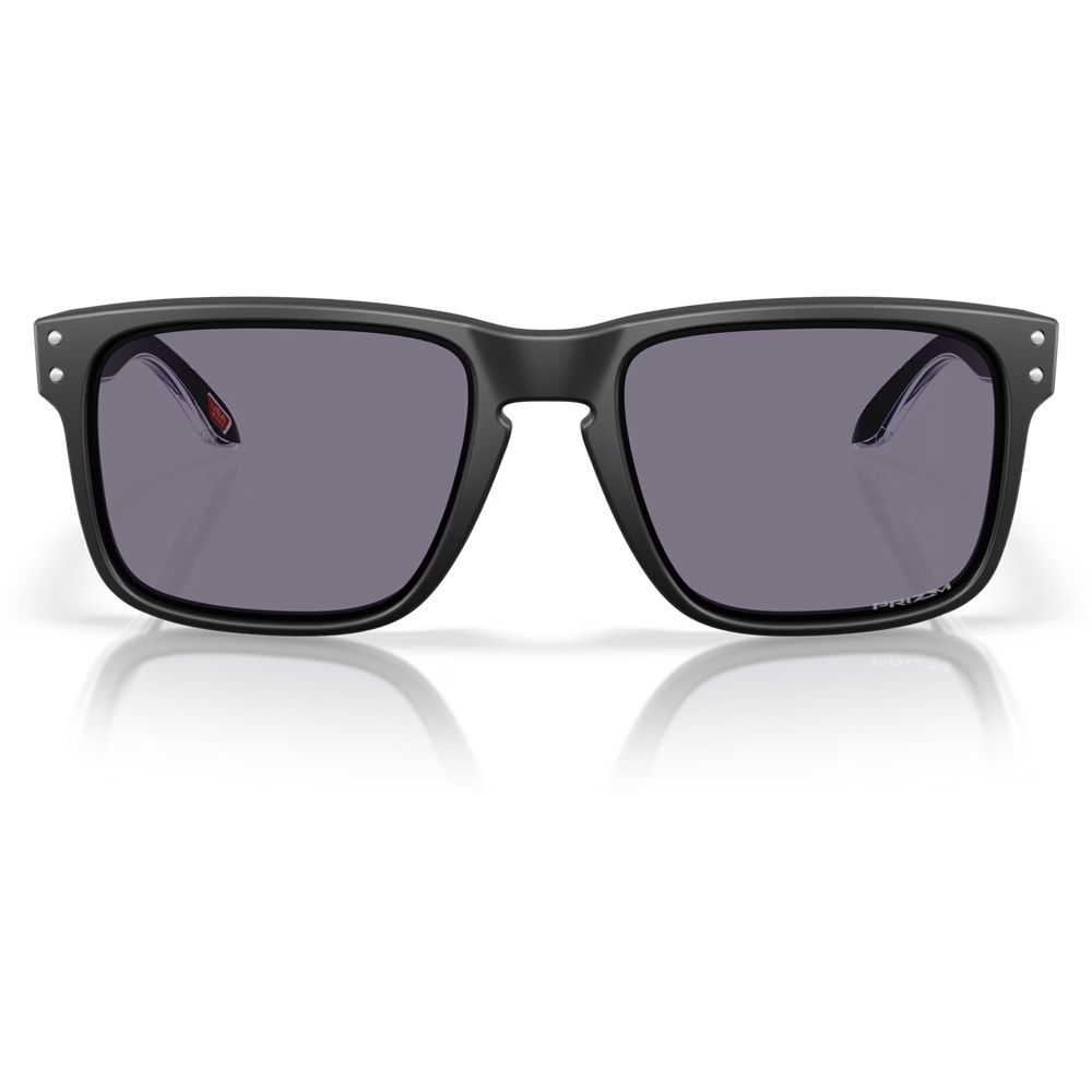 Oakley gafas deportivas HOLBROOK 01