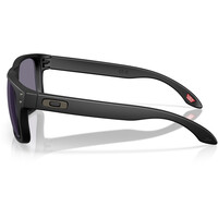 Oakley gafas deportivas HOLBROOK S 03
