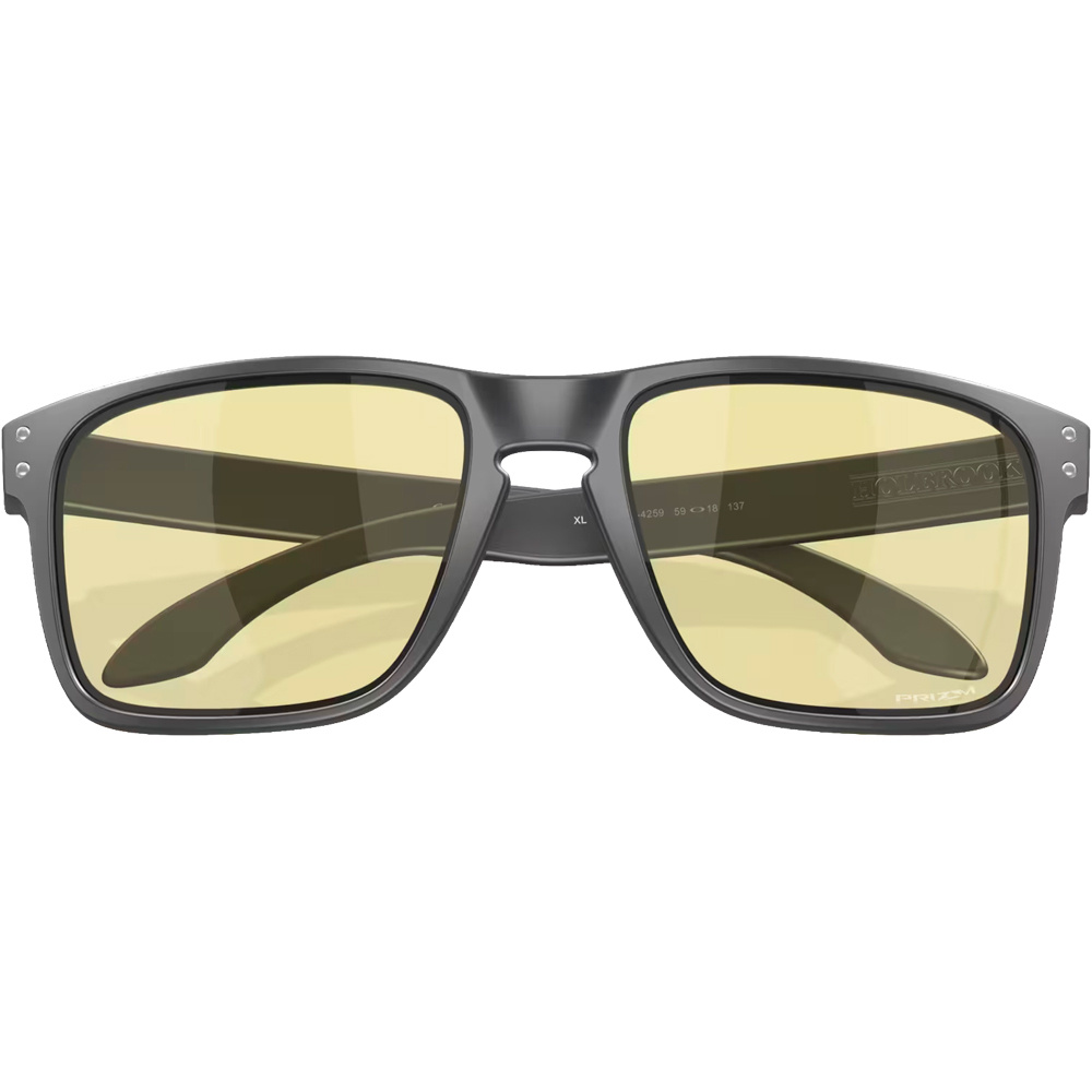 Oakley gafas deportivas Holbrook XL Matte Carbon w/Prizm Gaming 04