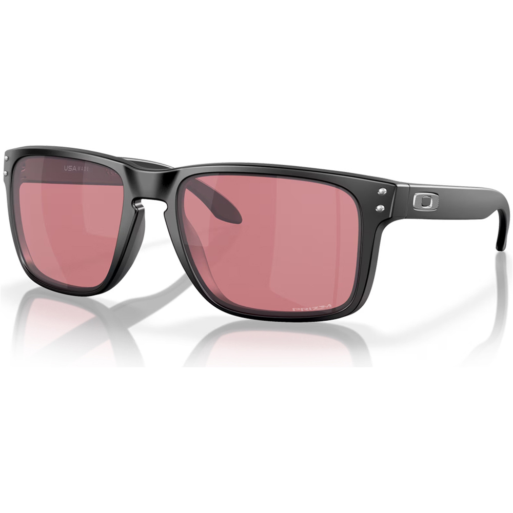 Oakley gafas deportivas HolbrookXL Mtt Blk w/Prizm Dk GlfPrizm vista frontal