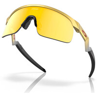 Oakley gafas deportivas infantiles Resistor PM Gold w/ Prizm 24K vista frontal