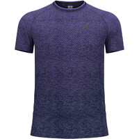Odlo camiseta térmica manga corta hombre ESSENTIAL SEAMLESS vista frontal