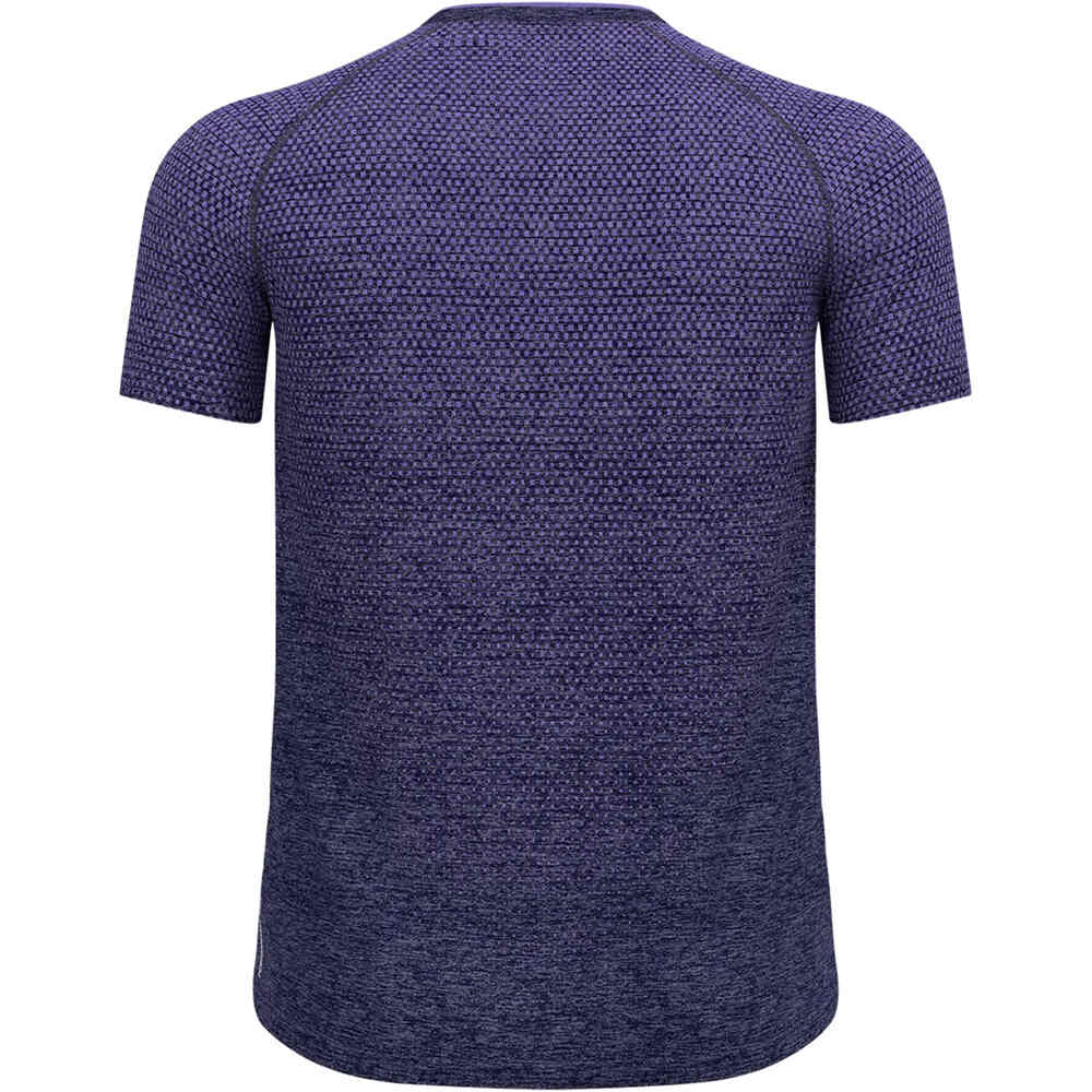 Odlo camiseta térmica manga corta hombre ESSENTIAL SEAMLESS vista trasera