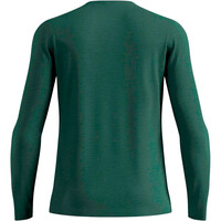 Odlo camiseta térmica manga larga hombre MERINO 160 vista trasera