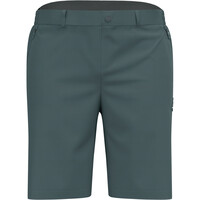 Odlo pantalón corto montaña hombre ASCENT LIGHT 03