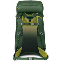 Osprey mochila montaña Ace 38 01