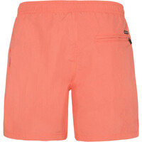 Protest bañador playa hombre FASTER beachshort 04