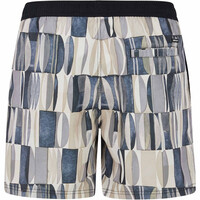 Protest bañador playa hombre PRTAllen beachshort 04