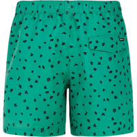 Protest bañador playa hombre PRTJuan beachshort 04