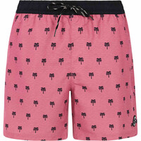 Protest bañador playa hombre PRTParco beachshort vista detalle