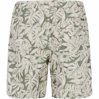 Protest bañador playa hombre PRTPedro beachshort 04