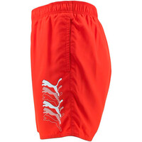 Puma bañador playa hombre PUMA SWIM MEN CATS MID 03