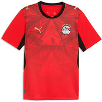 Puma camiseta de fútbol oficiales EGIPTO 25 HOME JERSEY 04
