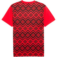 Puma camiseta de fútbol oficiales EGIPTO 25 Prematch SS Jersey 05