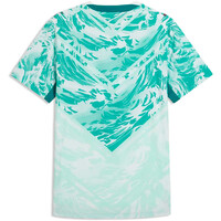 Puma camiseta de fútbol oficiales FPF Away Jersey Auth 05