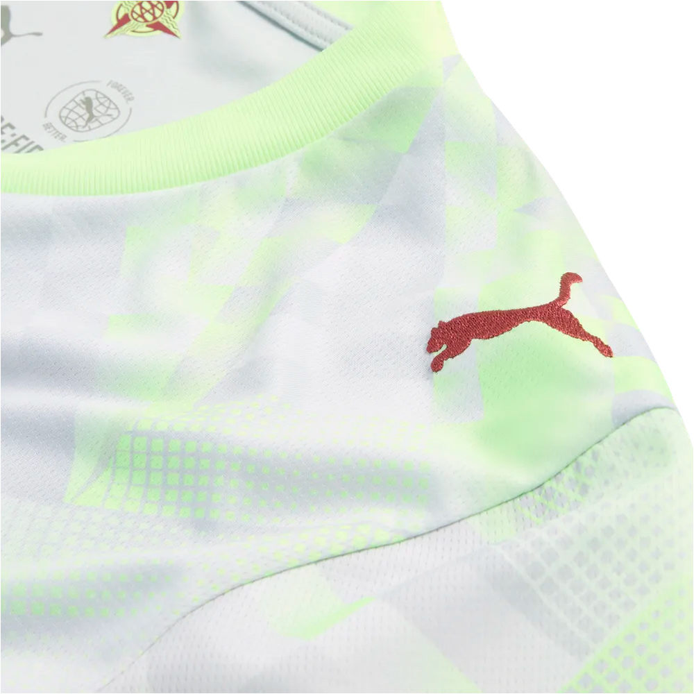 Puma camiseta de fútbol oficiales FPF Replica Match Je 05