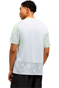 Puma camiseta de fútbol oficiales FPF Replica Match Je vista trasera