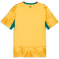 Puma camiseta de fútbol oficiales GHANA 25 AWAY JERSEY 05