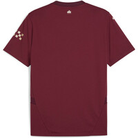 Puma camiseta de fútbol oficiales M.CITY 25 Third Jersey Replica 03