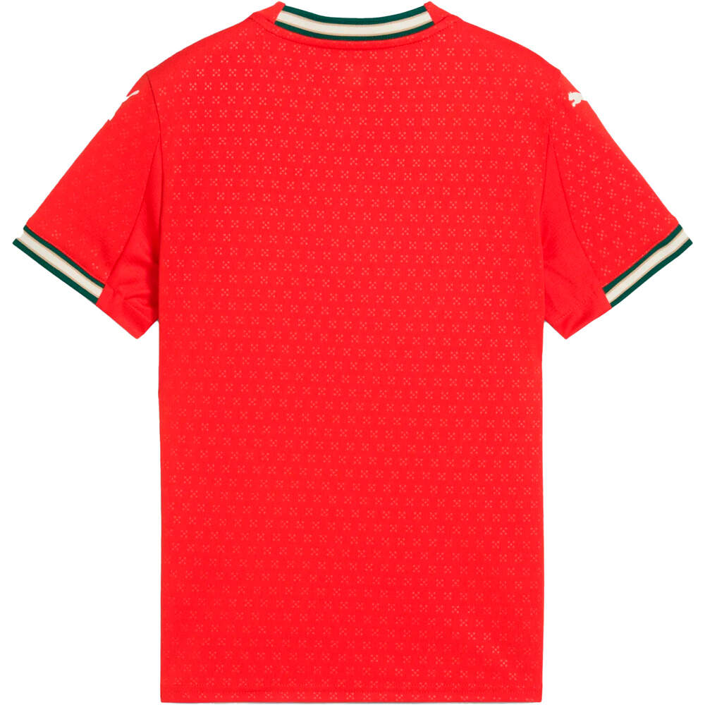 Puma camiseta de fútbol oficiales niño PORTUGAL 25 Home Jersey Replica Jr 03