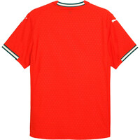 Puma camiseta de fútbol oficiales PORTUGAL 25 Home Authentic Jersey 05