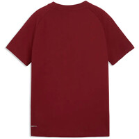 Puma camiseta entrenamiento niño FPF PUMATECH Pocket 04