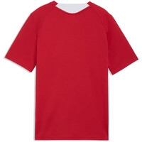 Puma camiseta entrenamiento niño FPF Training Jersey 04