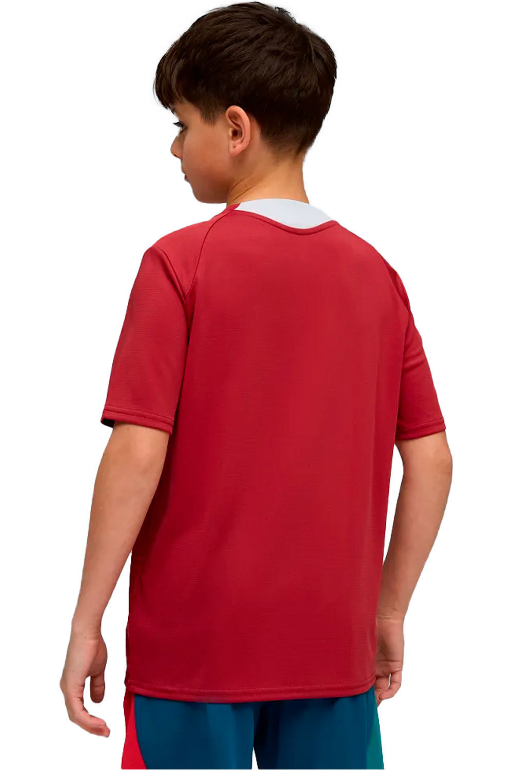 Puma camiseta entrenamiento niño FPF Training Jersey vista trasera