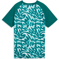 Puma camiseta entrenamiento niño FPF Warm Up Jersey J 04