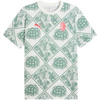 Puma camiseta manga corta hombre ACM FtblCulture Tee vista detalle