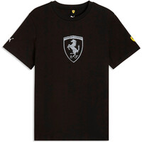 FERRARI TONAL SHIELD