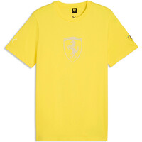 FERRARI TONAL SHIELD