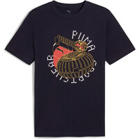 Puma camiseta manga corta hombre GRAPHICS Execution Tee vista detalle