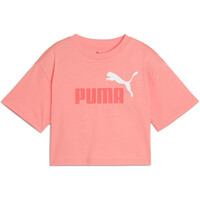 ESSENTIALS 2 COLOR LOGO