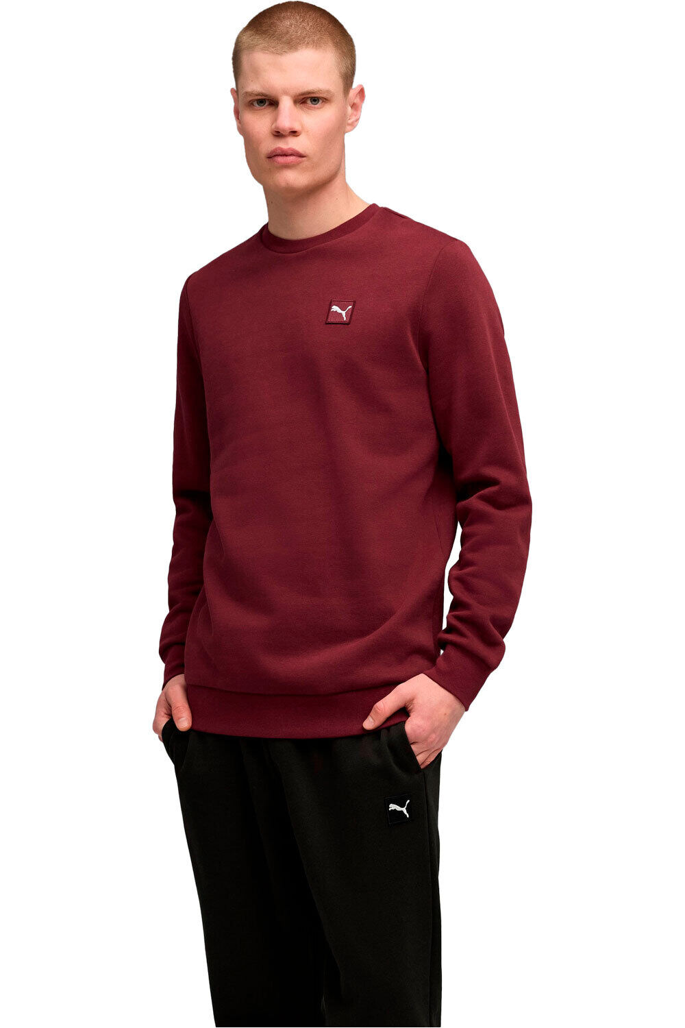 Puma chándal hombre ESS Elevated Crew Sw vista frontal