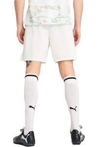 Puma pantalones fútbol oficiales PORTUGAL 25 Shorts Replica vista trasera