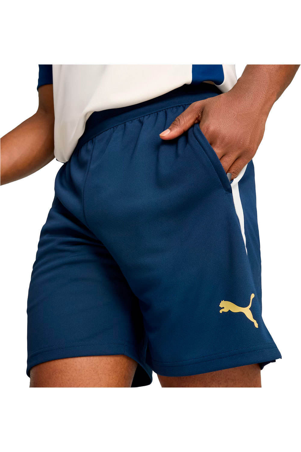 Puma pantalones futbol PORTUGAL 25 Training Shorts vista detalle